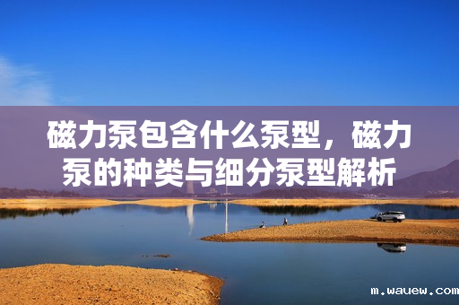 磁力泵包含什么泵型,磁力泵的种类与细分泵型解析 磁力泵包含什么泵型,磁力泵的种类与细分泵型解析