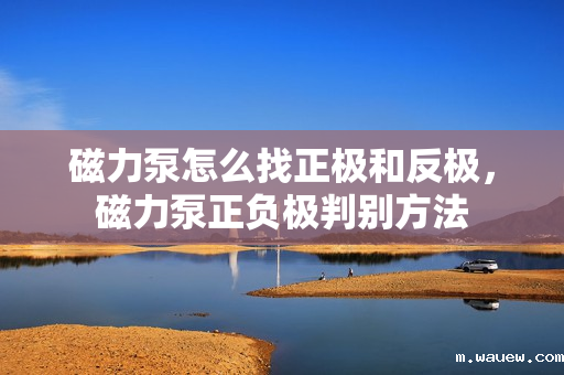 磁力泵怎么找正极和反极,磁力泵正负极判别方法 磁力泵怎么找正极和反极,磁力泵正负极判别方法