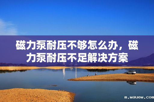 磁力泵耐压不够怎么办,磁力泵耐压不足解决方案 磁力泵耐压不够怎么办,磁力泵耐压不足解决方案