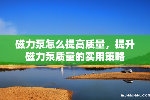 磁力泵怎么提高质量,提升磁力泵质量的实用策略 磁力泵怎么提高质量,提升磁力泵质量的实用策略