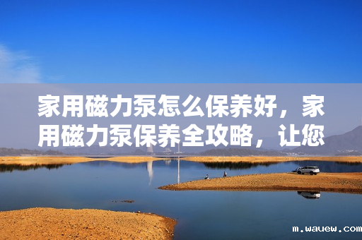 家用磁力泵怎么保养好,家用磁力泵保养全攻略,让您的磁力泵更持久耐用 家用磁力泵怎么保养好,家用磁力泵保养全攻略,让您的磁力泵更持久耐用