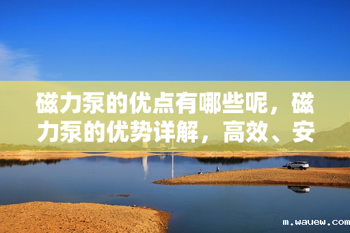 磁力泵的优点有哪些呢,磁力泵的优势详解,高效、安全、可靠 磁力泵的优点有哪些呢,磁力泵的优势详解,高效、安全、可靠