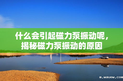 什么会引起磁力泵振动呢,揭秘磁力泵振动的原因 什么会引起磁力泵振动呢,揭秘磁力泵振动的原因