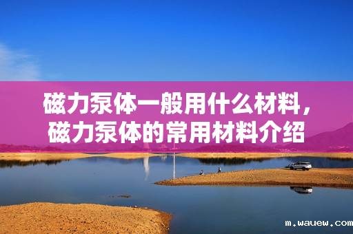 磁力泵体一般用什么材料,磁力泵体的常用材料介绍 磁力泵体一般用什么材料,磁力泵体的常用材料介绍
