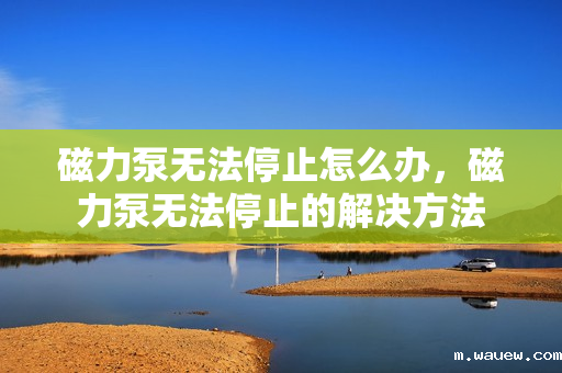 磁力泵无法停止怎么办,磁力泵无法停止的解决方法 磁力泵无法停止怎么办,磁力泵无法停止的解决方法