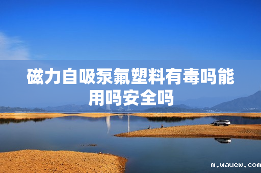 磁力自吸泵氟塑料有毒吗能用吗安全吗 磁力自吸泵氟塑料有毒吗能用吗安全吗