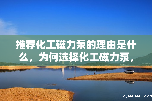 推荐化工磁力泵的理由是什么,为何选择化工磁力泵,优势与理由详解 推荐化工磁力泵的理由是什么,为何选择化工磁力泵,优势与理由详解