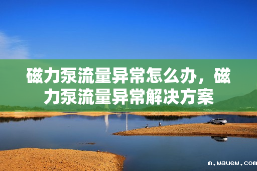 磁力泵流量异常怎么办,磁力泵流量异常解决方案 磁力泵流量异常怎么办,磁力泵流量异常解决方案