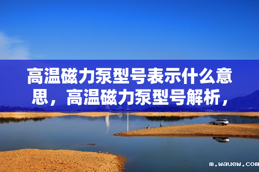 高温磁力泵型号表示什么意思,高温磁力泵型号解析,了解各部分的含义 高温磁力泵型号表示什么意思,高温磁力泵型号解析,了解各部分的含义