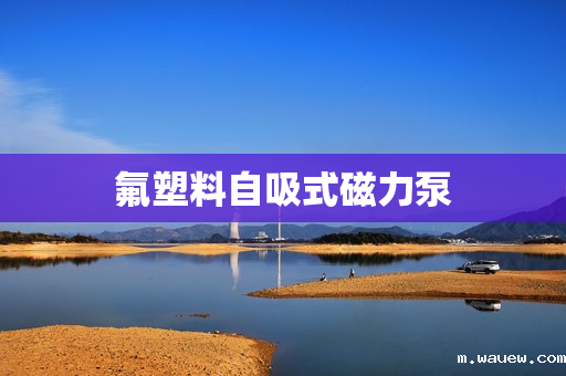 氟塑料自吸式磁力泵 氟塑料自吸式磁力泵