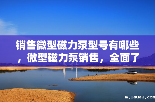 销售微型磁力泵型号有哪些,微型磁力泵销售,全面了解各型号选择 销售微型磁力泵型号有哪些,微型磁力泵销售,全面了解各型号选择