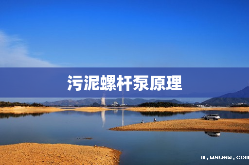 污泥螺杆泵原理 污泥螺杆泵原理