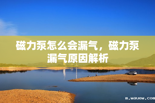 磁力泵怎么会漏气,磁力泵漏气原因解析 磁力泵怎么会漏气,磁力泵漏气原因解析