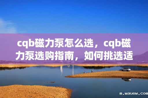 cqb磁力泵怎么选,cqb磁力泵选购指南,如何挑选适合的磁力泵 cqb磁力泵怎么选,cqb磁力泵选购指南,如何挑选适合的磁力泵
