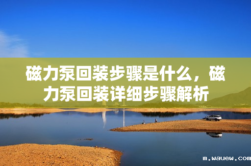 磁力泵回装步骤是什么,磁力泵回装详细步骤解析 磁力泵回装步骤是什么,磁力泵回装详细步骤解析