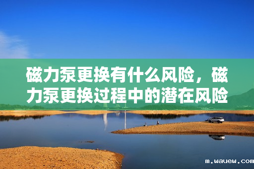 磁力泵更换有什么风险,磁力泵更换过程中的潜在风险 磁力泵更换有什么风险,磁力泵更换过程中的潜在风险