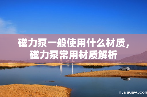 磁力泵一般使用什么材质,磁力泵常用材质解析 磁力泵一般使用什么材质,磁力泵常用材质解析