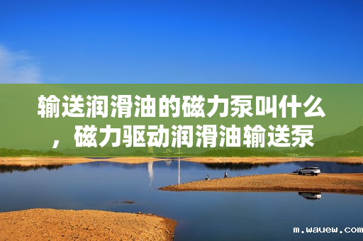输送润滑油的磁力泵叫什么,磁力驱动润滑油输送泵 输送润滑油的磁力泵叫什么,磁力驱动润滑油输送泵