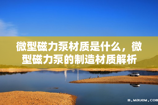 微型磁力泵材质是什么,微型磁力泵的制造材质解析 微型磁力泵材质是什么,微型磁力泵的制造材质解析
