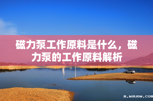 磁力泵工作原料是什么,磁力泵的工作原料解析 磁力泵工作原料是什么,磁力泵的工作原料解析