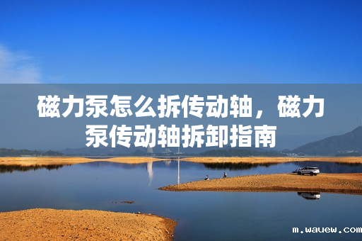 磁力泵怎么拆传动轴,磁力泵传动轴拆卸指南 磁力泵怎么拆传动轴,磁力泵传动轴拆卸指南