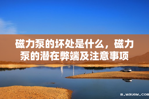 磁力泵的坏处是什么,磁力泵的潜在弊端及注意事项 磁力泵的坏处是什么,磁力泵的潜在弊端及注意事项