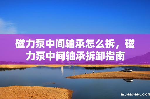 磁力泵中间轴承怎么拆,磁力泵中间轴承拆卸指南 磁力泵中间轴承怎么拆,磁力泵中间轴承拆卸指南