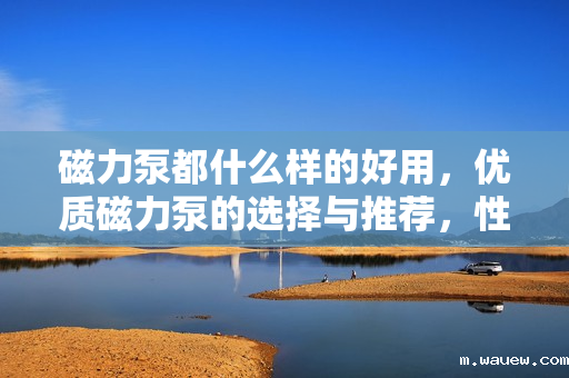 磁力泵都什么样的好用,优质磁力泵的选择与推荐,性能与耐用性并重 磁力泵都什么样的好用,优质磁力泵的选择与推荐,性能与耐用性并重