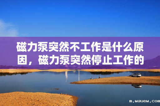 磁力泵突然不工作是什么原因,磁力泵突然停止工作的可能原因解析 磁力泵突然不工作是什么原因,磁力泵突然停止工作的可能原因解析