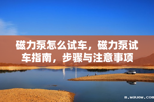 磁力泵怎么试车,磁力泵试车指南,步骤与注意事项 磁力泵怎么试车,磁力泵试车指南,步骤与注意事项