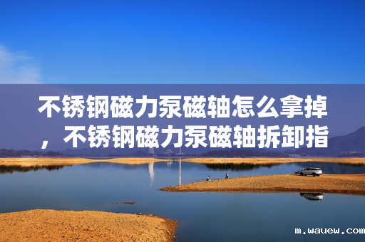 不锈钢磁力泵磁轴怎么拿掉，不锈钢磁力泵磁轴拆卸指南