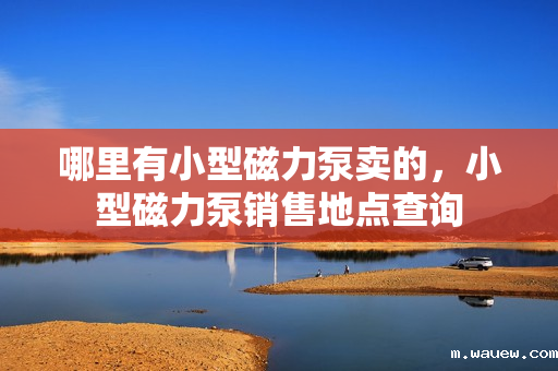 哪里有小型磁力泵卖的，小型磁力泵销售地点查询