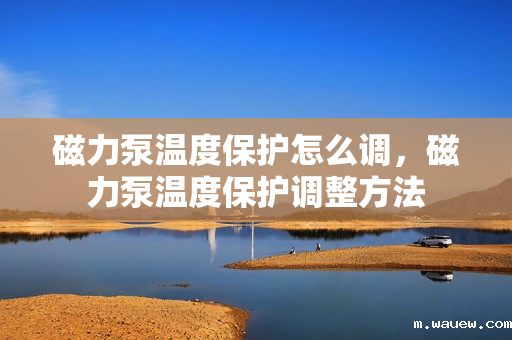 磁力泵温度保护怎么调，磁力泵温度保护调整方法