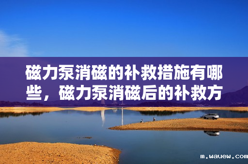 磁力泵消磁的补救措施有哪些，磁力泵消磁后的补救方法详解