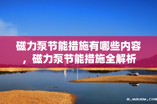 磁力泵节能措施有哪些内容，磁力泵节能措施全解析