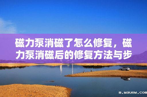 磁力泵消磁了怎么修复，磁力泵消磁后的修复方法与步骤