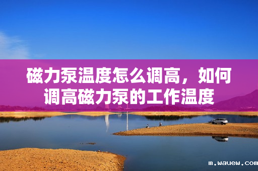 磁力泵温度怎么调高，如何调高磁力泵的工作温度