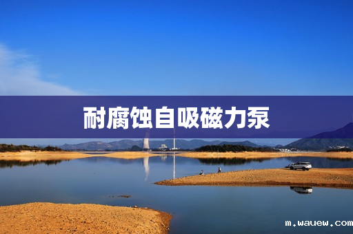 耐腐蚀自吸磁力泵