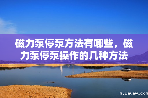 磁力泵停泵方法有哪些，磁力泵停泵操作的几种方法