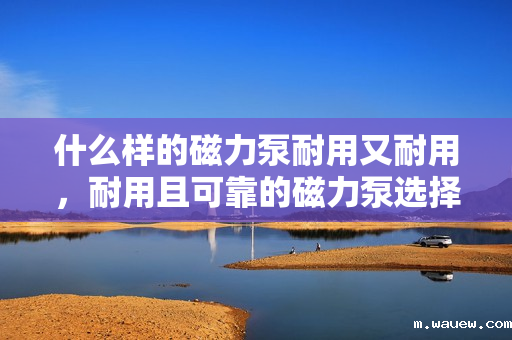 什么样的磁力泵耐用又耐用，耐用且可靠的磁力泵选择指南