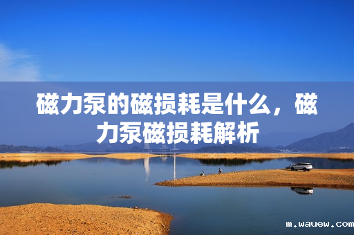 磁力泵的磁损耗是什么，磁力泵磁损耗解析