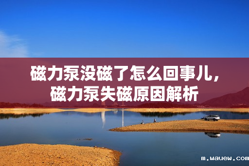 磁力泵没磁了怎么回事儿，磁力泵失磁原因解析