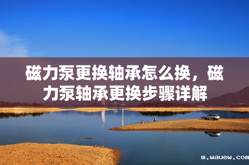 磁力泵更换轴承怎么换，磁力泵轴承更换步骤详解