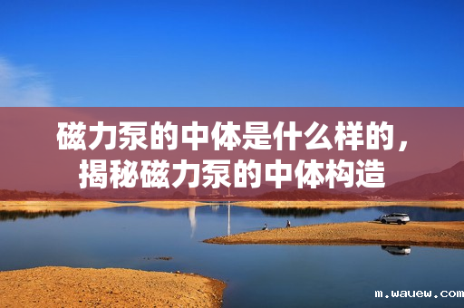 磁力泵的中体是什么样的，揭秘磁力泵的中体构造