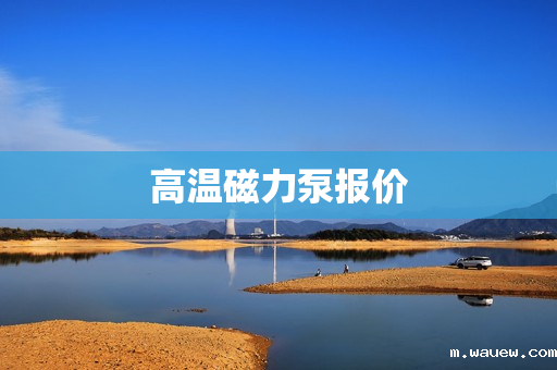 高温磁力泵报价