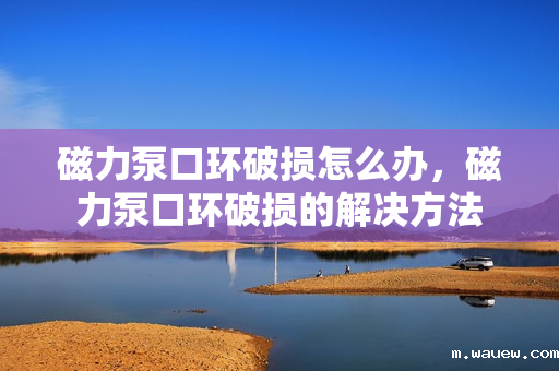 磁力泵口环破损怎么办，磁力泵口环破损的解决方法