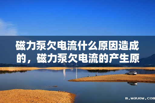 磁力泵欠电流什么原因造成的，磁力泵欠电流的产生原因解析