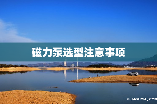 磁力泵选型注意事项