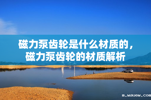 磁力泵齿轮是什么材质的，磁力泵齿轮的材质解析