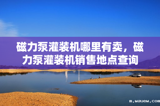 磁力泵灌装机哪里有卖，磁力泵灌装机销售地点查询